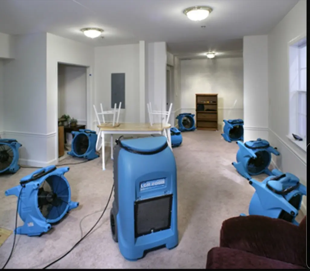 Air movers and dehumidifier setup for Water Extraction & Removal in Barbecue